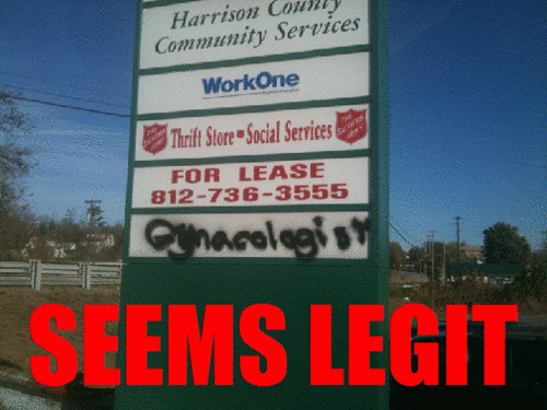 tumblr_lk6f2vSILy1qd5qnpo1_500.gif