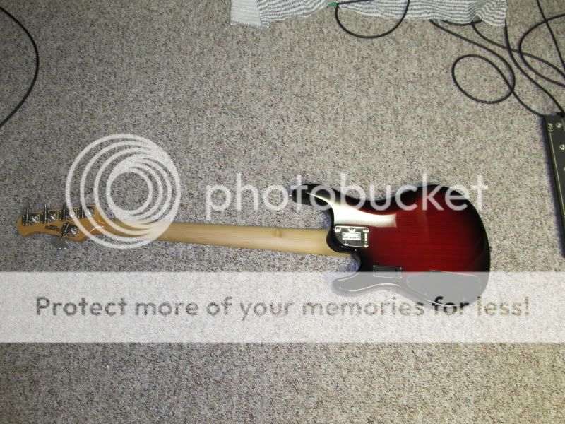 Picture002.jpg