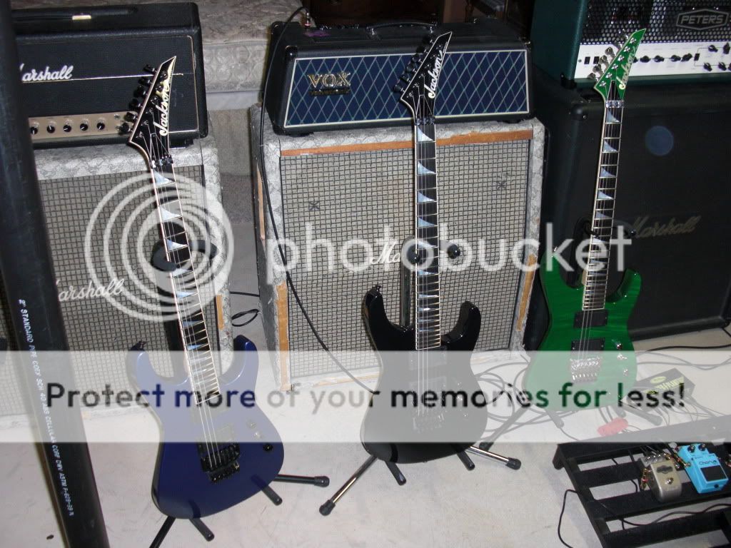 CIMG0261.jpg
