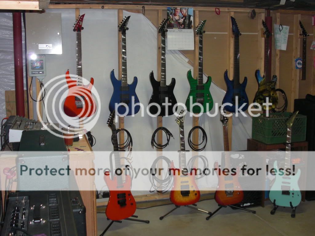 CIMG0257.jpg