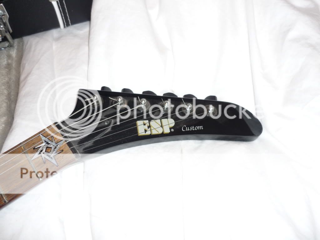 scottsguitar0041.jpg