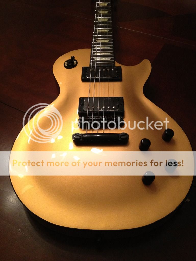 ginger6_zps4ab00342.jpg