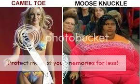 images20.jpg