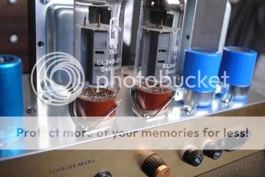DSC_1399_zps7883d3ab.jpg