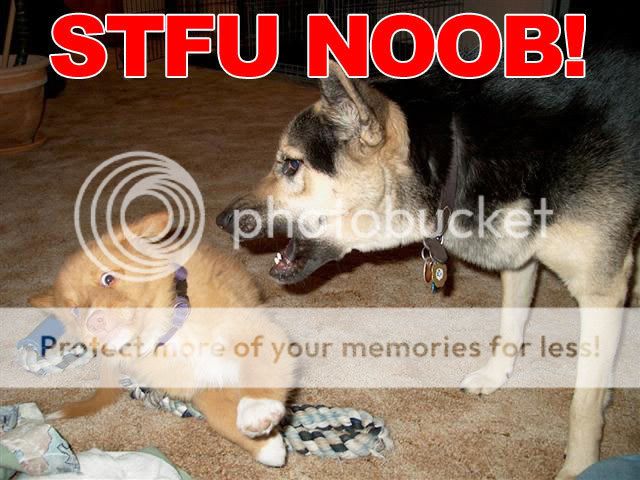 stfu_noob.jpg