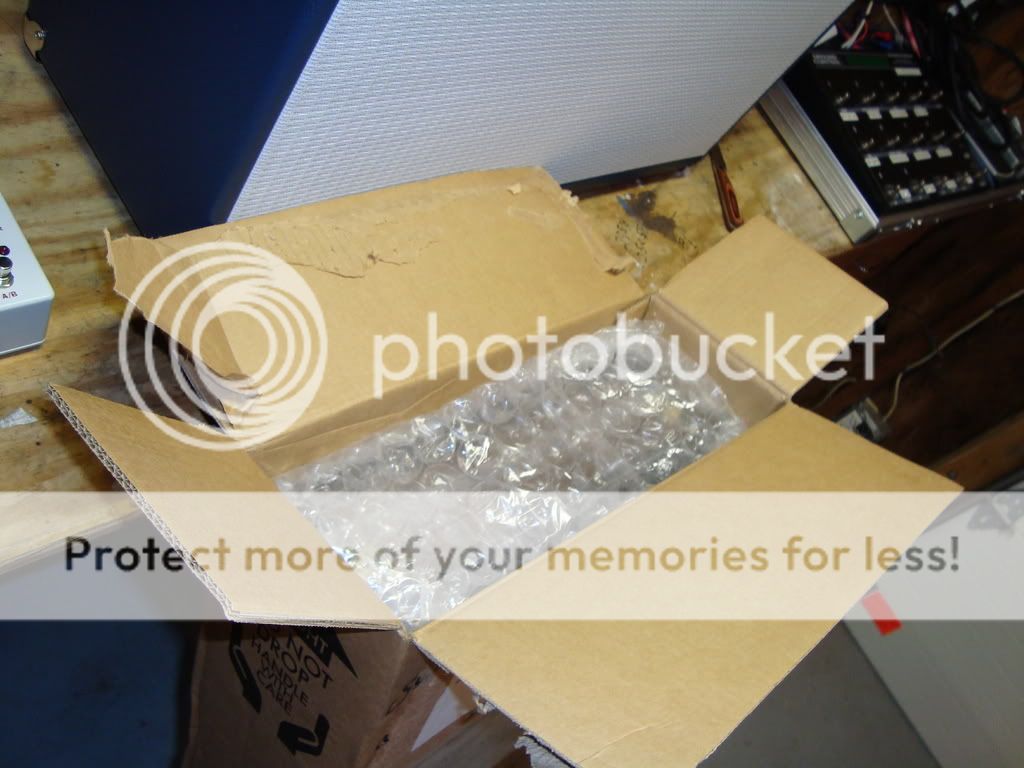 DSC03835.jpg
