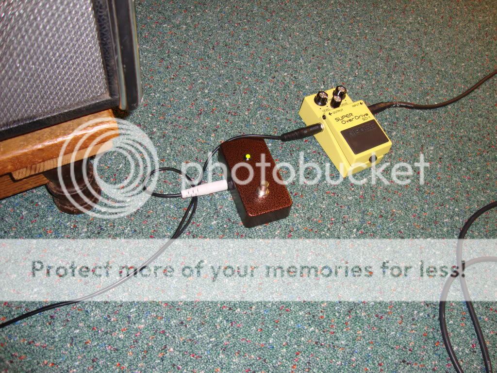 DSC00595.jpg