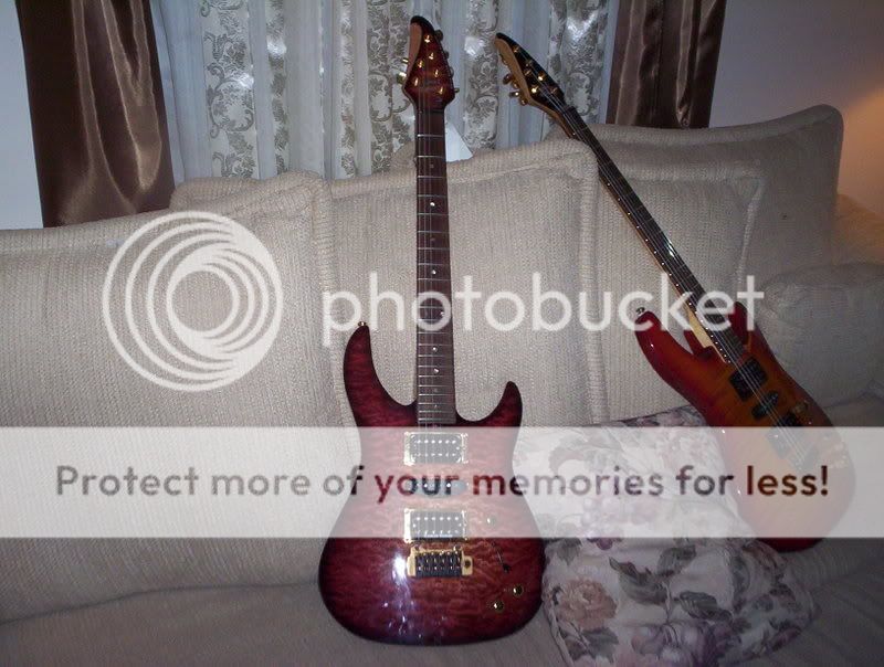 tomsguitars005.jpg