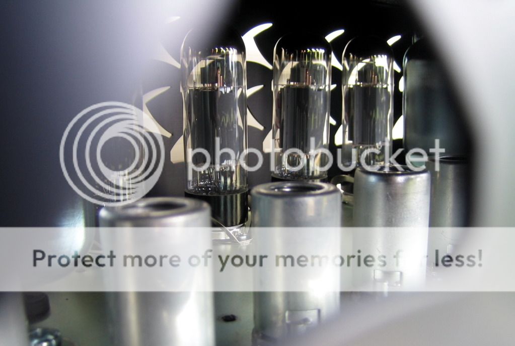 DMoll_InsideTubes.jpg