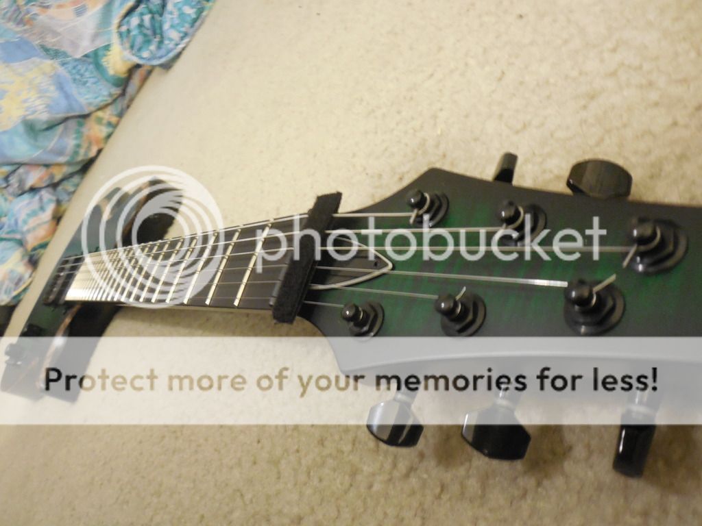 DSCN0399_zpstctykwha.jpg