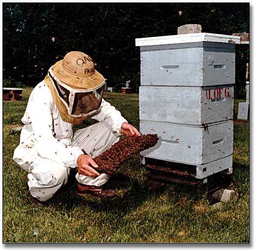 3221_bee_keeper_520.jpg