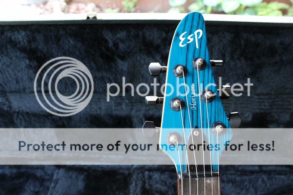 headstock_zpsxqsdgafm.jpg