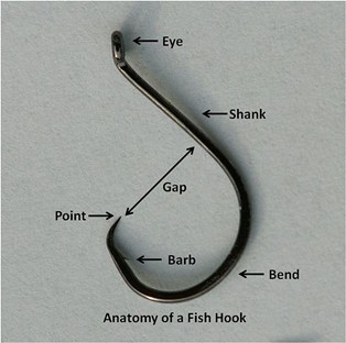 fish-hook.jpg