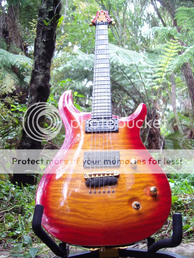230408ZorransGuitarEquipment17.jpg