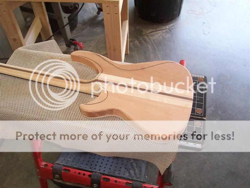100_2658Medium.jpg