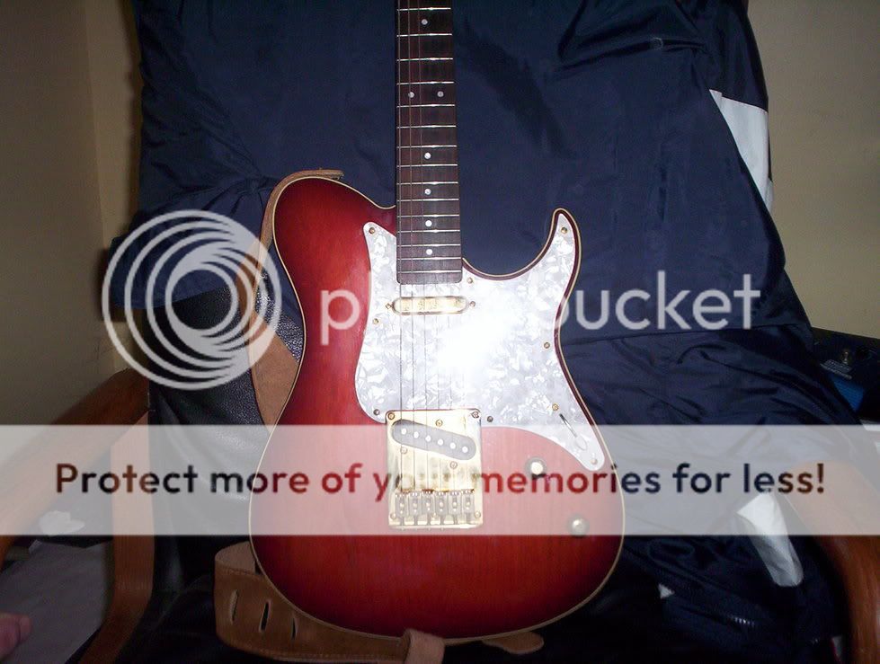 tomsguitars.jpg