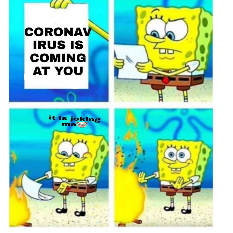 or6cj.jpg