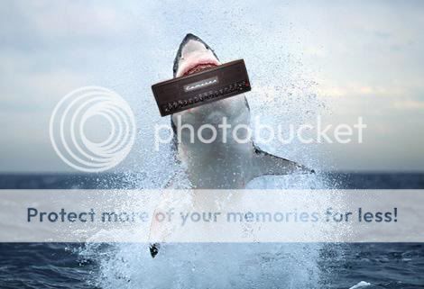 jumping-great-white-shark.jpg