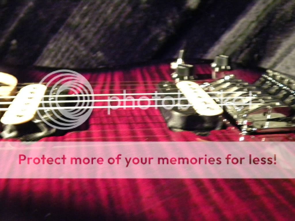 DSCN9697.jpg