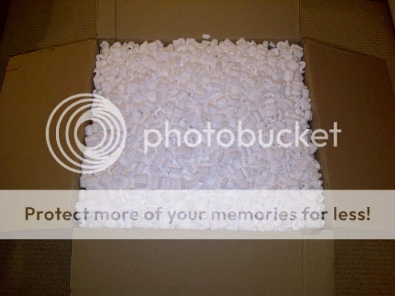 IMG-20110619-00058.jpg