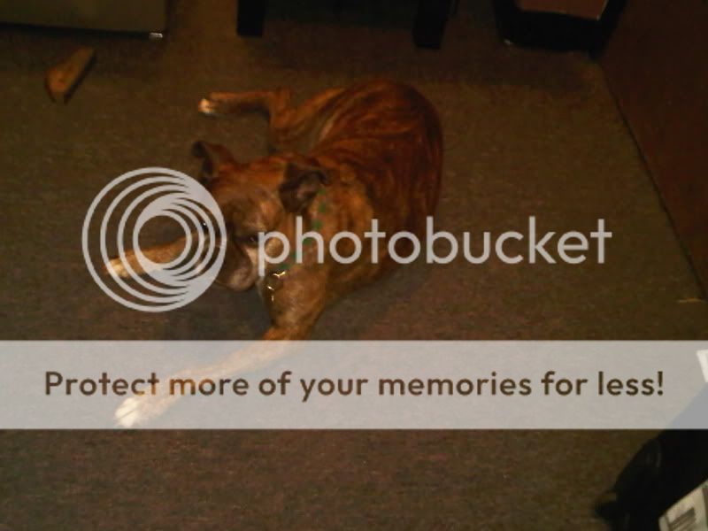 IMG00093-20100108-0019.jpg