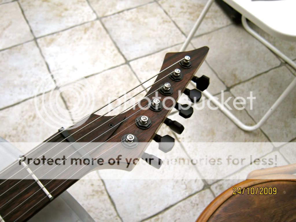 B6Vig10.jpg