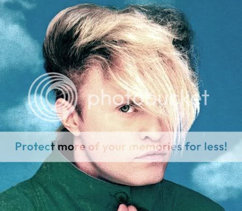 flockofseagulls.jpg