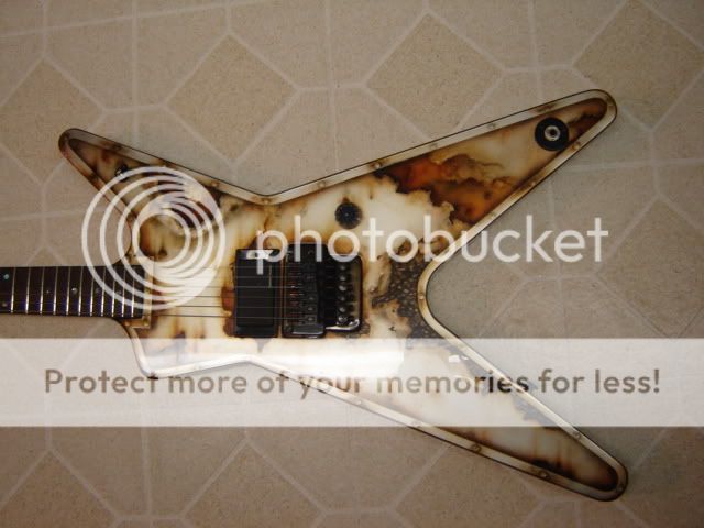 DSC02547.jpg