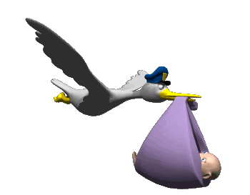 stork_delivering_nina1.gif