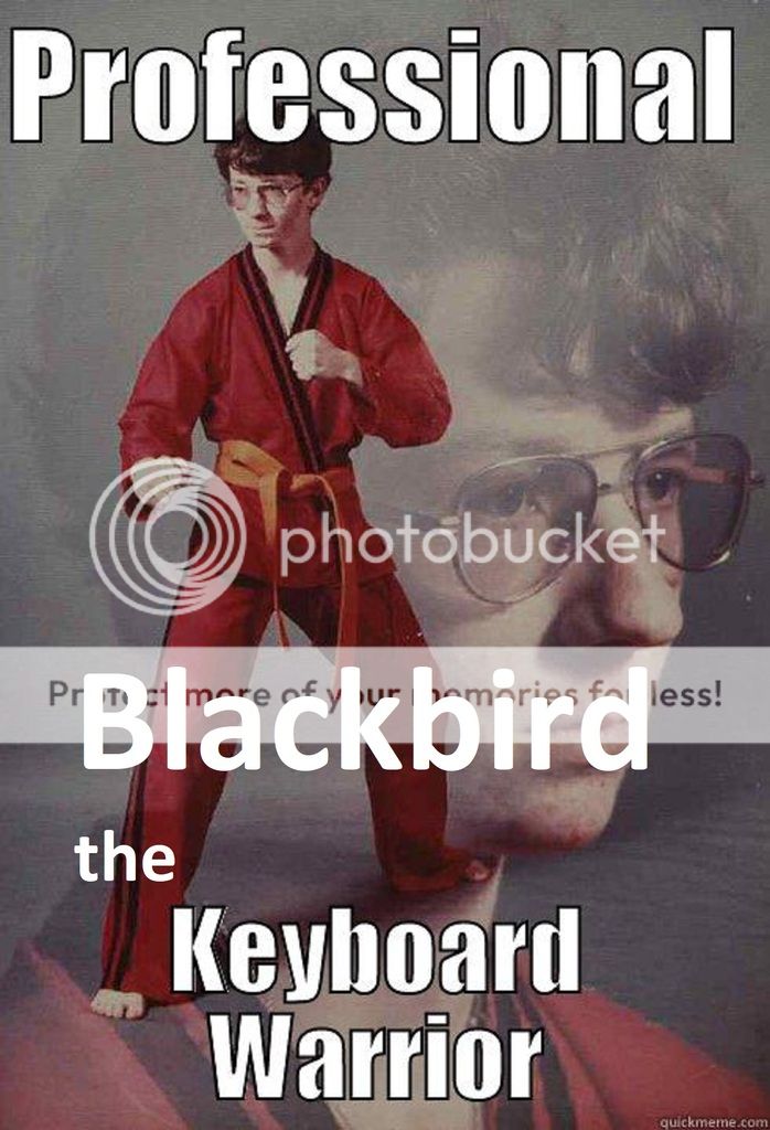 Blackbird_zpshx0uuy0k.jpg