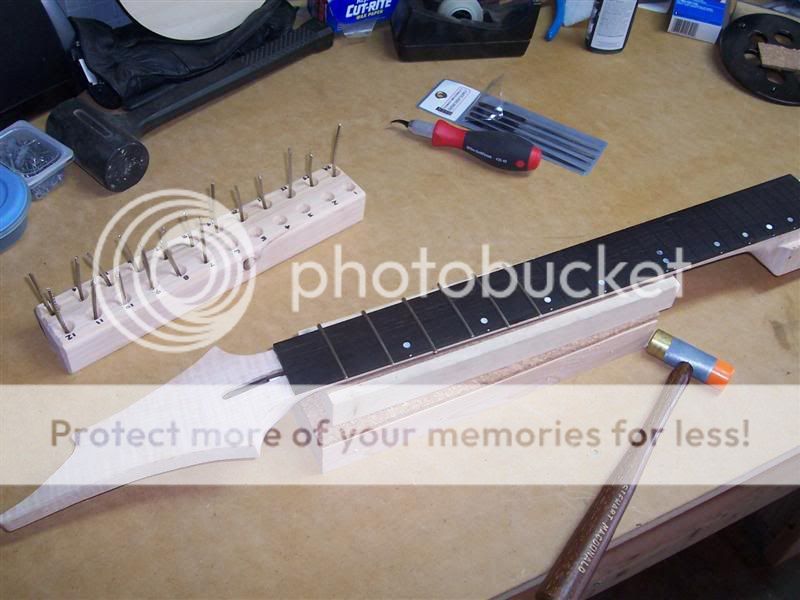 100_2629Medium.jpg