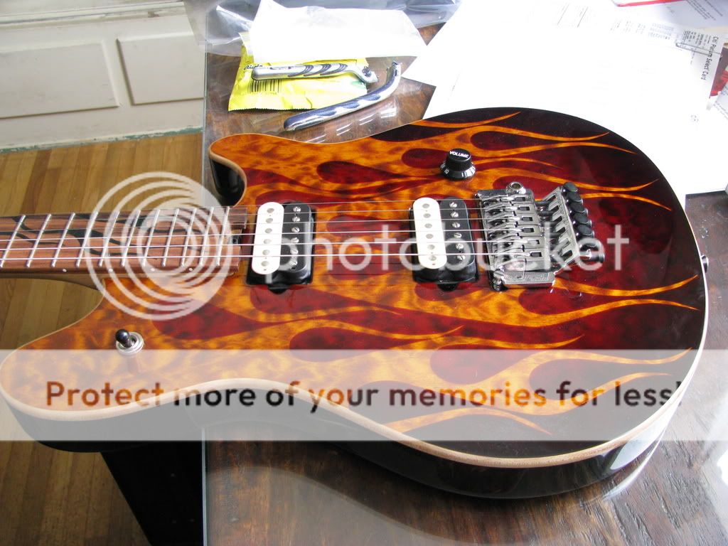 Peavey11.jpg