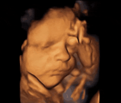 tumblr_me2bjux1nM1qbh26io1_500.gif