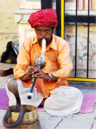 snake-charmer.jpg