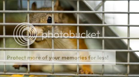 iStock_000006696877XSmall.jpg
