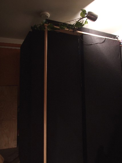 isobox1.jpg