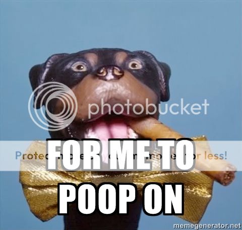 poopon_zps9b91c917.jpg