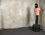 Jeffsphotobucket8.gif