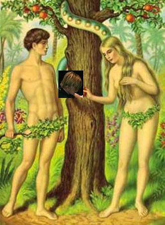 NWPgSHV.jpg