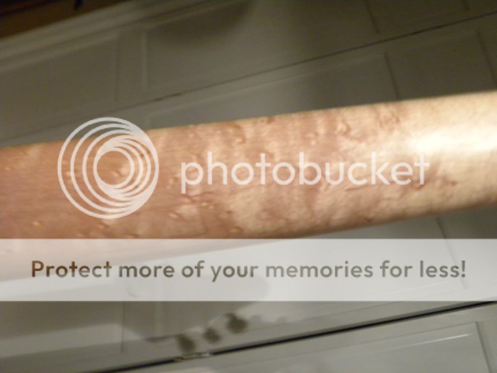 DSCN9693.jpg