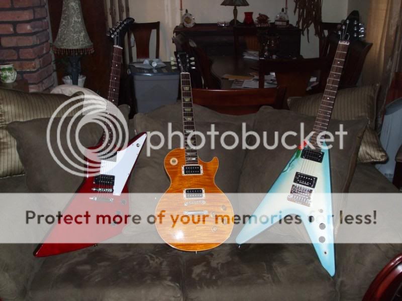 guitarsdogsandstuff017.jpg