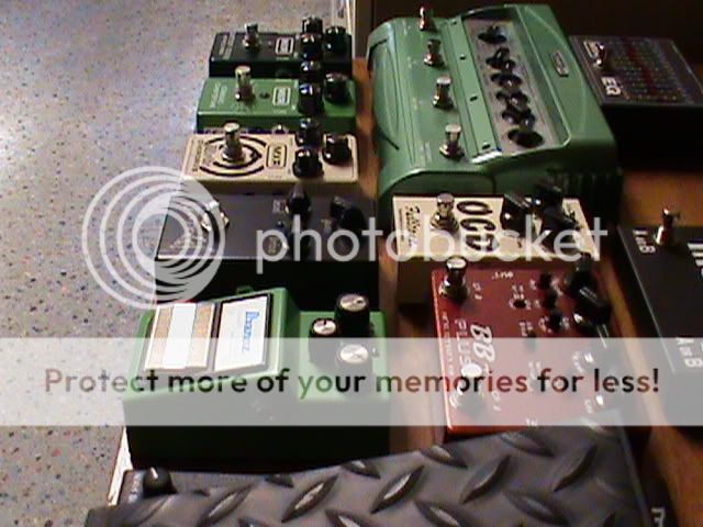 DSC00381.jpg